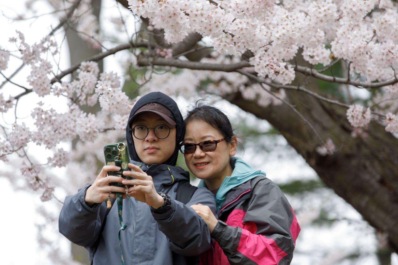 default-183 A mother and son taking a selfie in front of blooming cherry trees at a park.