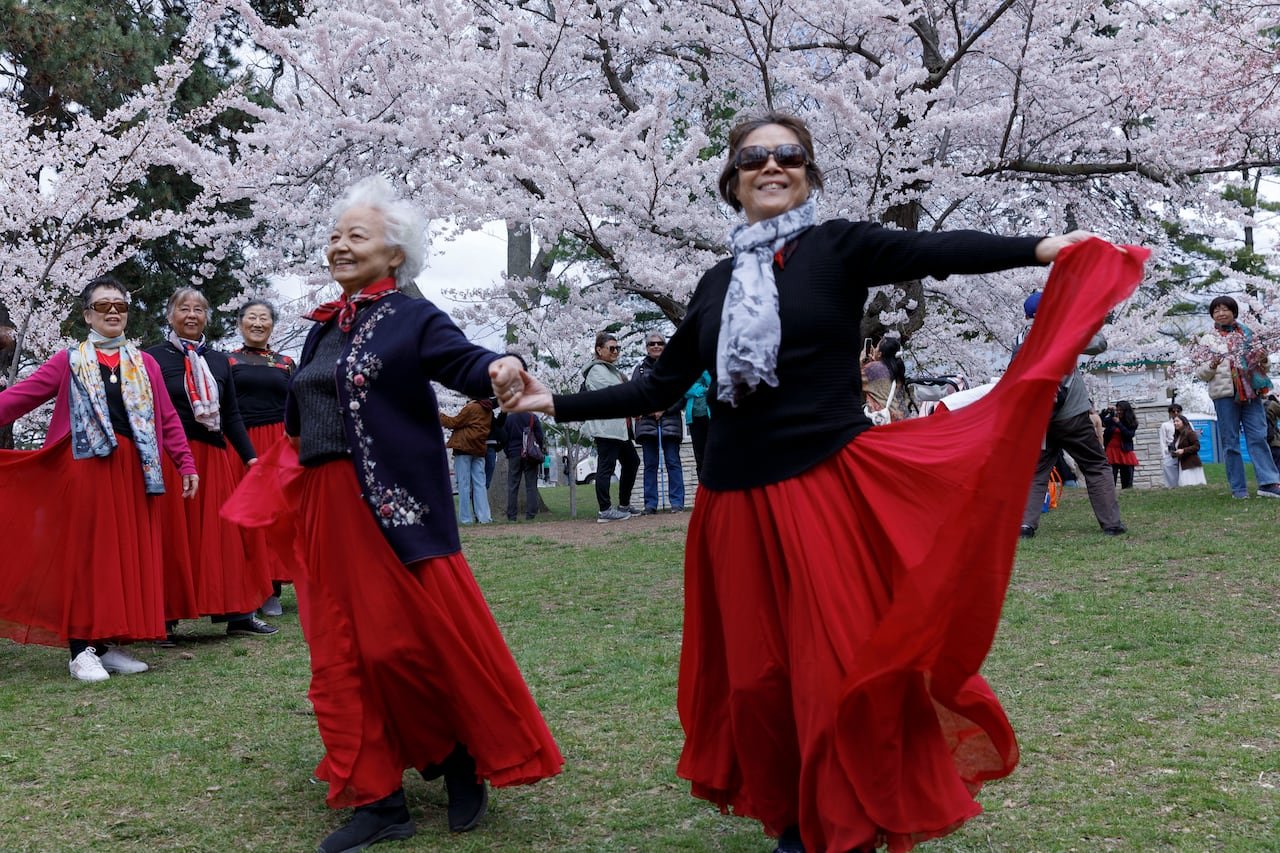 default-184 Two women wearing dark sweaters and flowing red long skirts, near blossoming cherry trees.