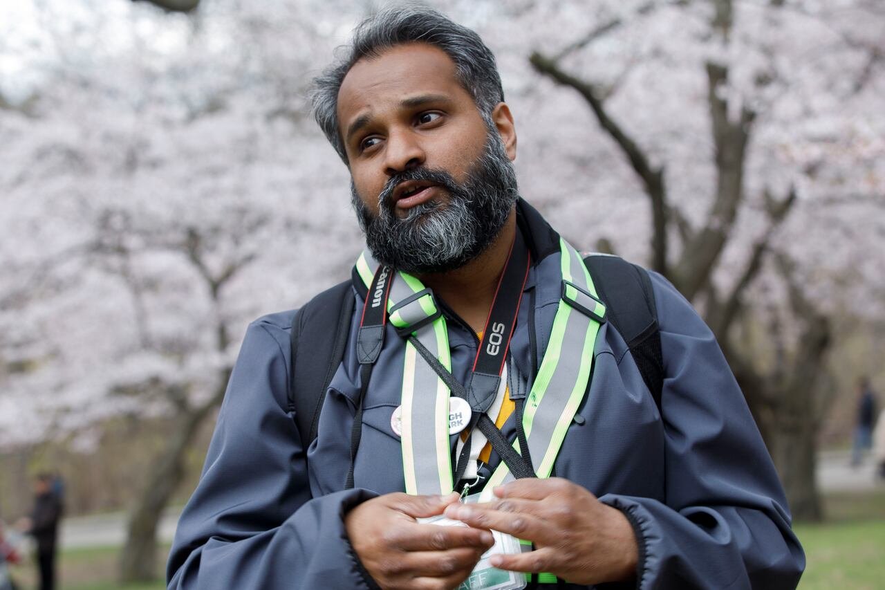 default-185 A bearded man with salt and pepper hair standing in front of cherry trees at a park.